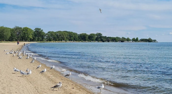 Lake St. Clair Metropark (Metro Beach, Metropolitan Beach) - From Web Listing